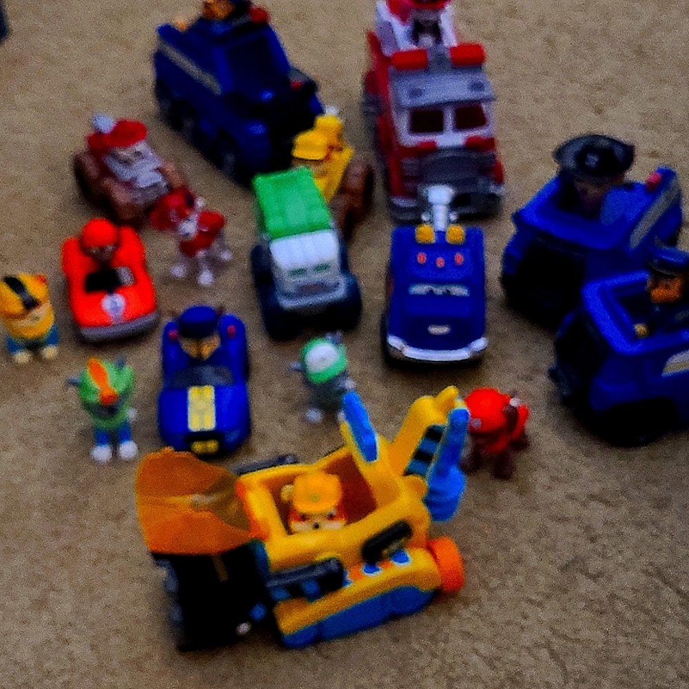 Paw patrol